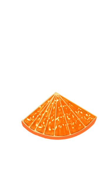 Quarter sliced orange