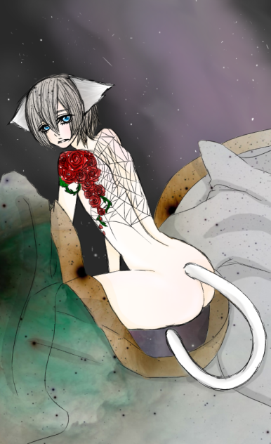 男の子(猫)