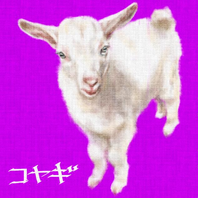 仔山羊　ネット画像参照