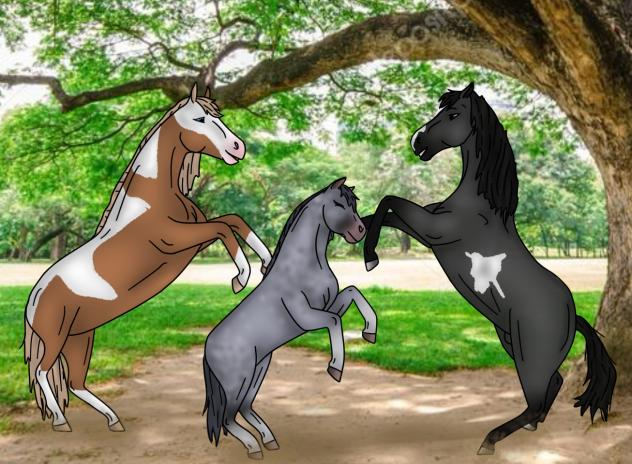 rain, shadow,and royal 1