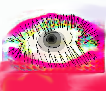 þ
