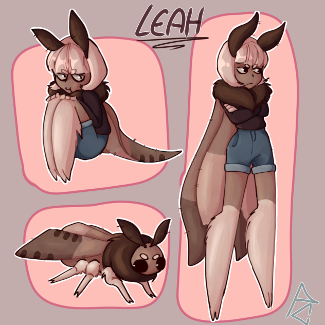 Moth