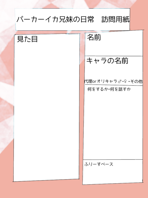 パーカーイカ訪問用紙！