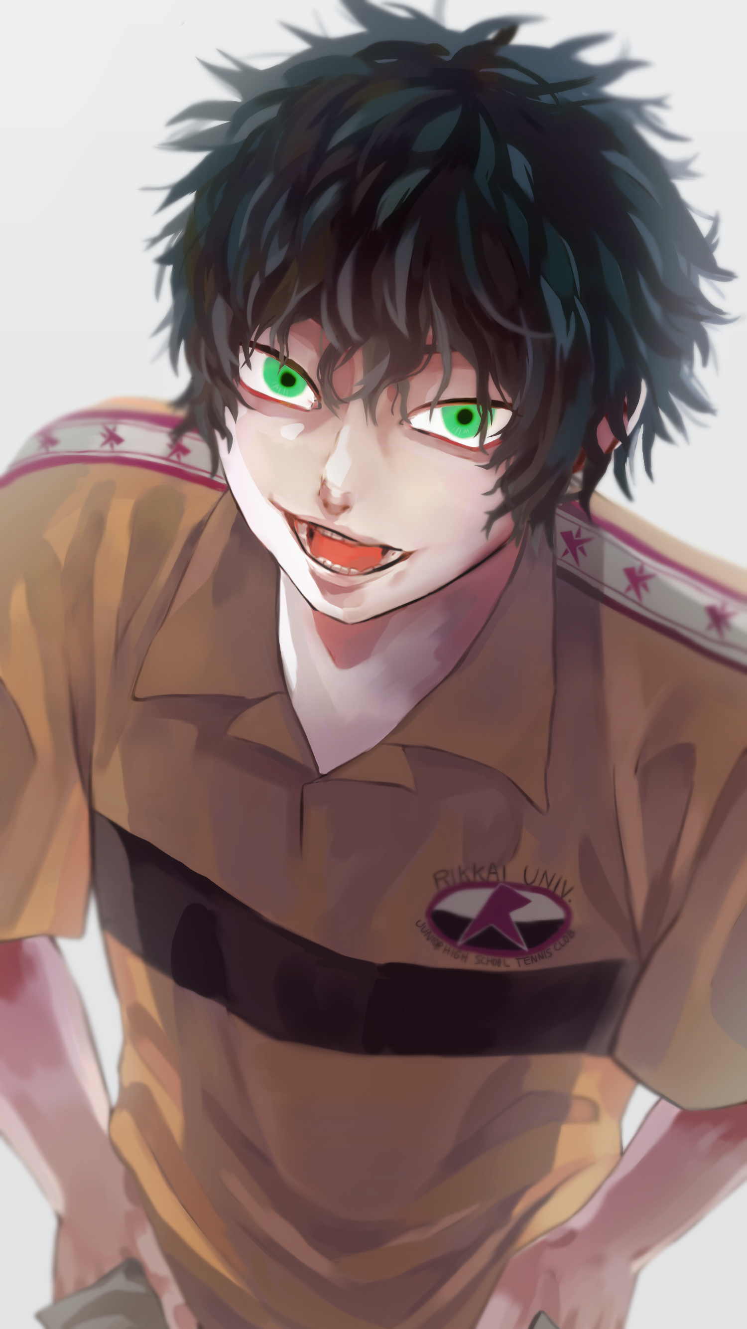 ヘアセット アクリルブロッキー 切原 赤也 ヘアセット アクリルブロッキー 切原 赤也 新テニスの王子様