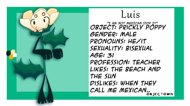 LUIS INTERVIEW