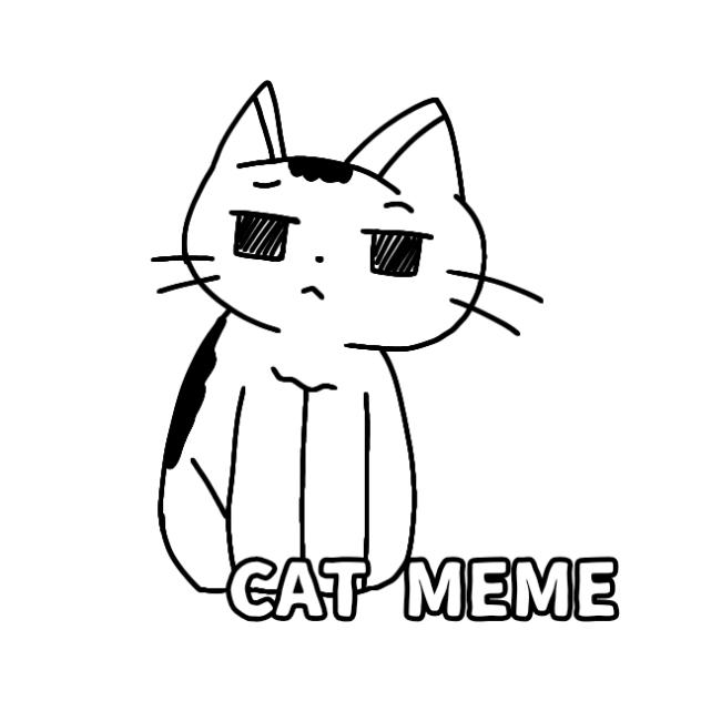 CAT MEME【huh cat】