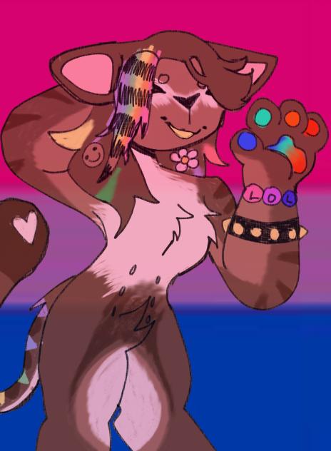 BROWNIE XP