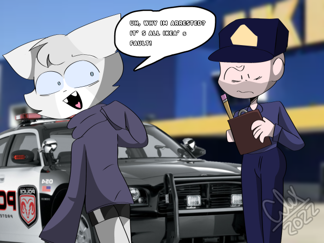 N30 arrested for vandalizing IKEA