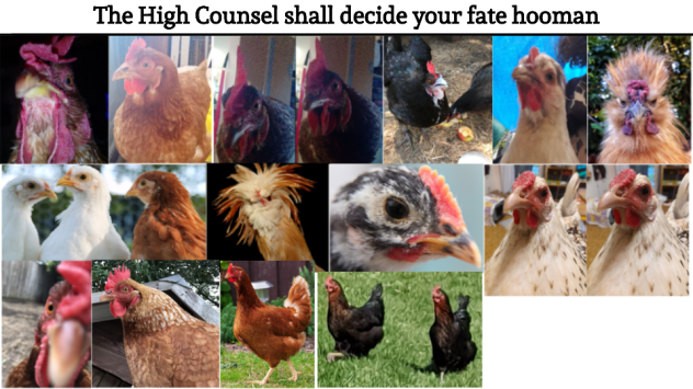 The High Council 3