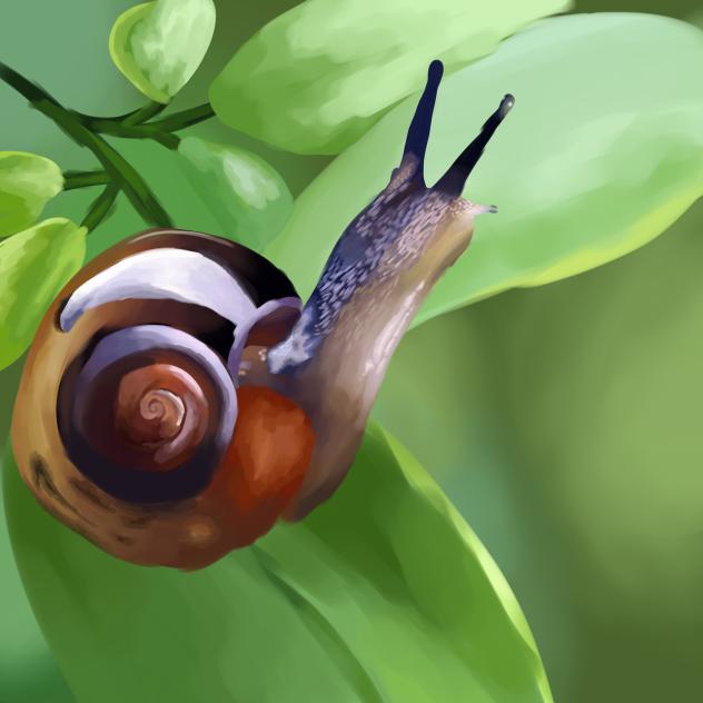 snail³