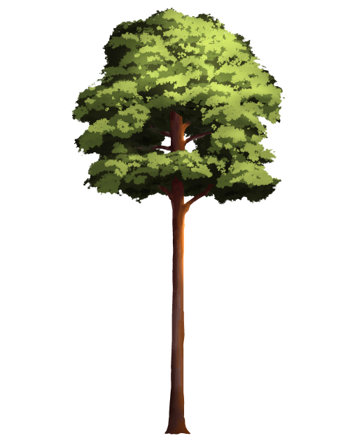 Mountain Tree 2