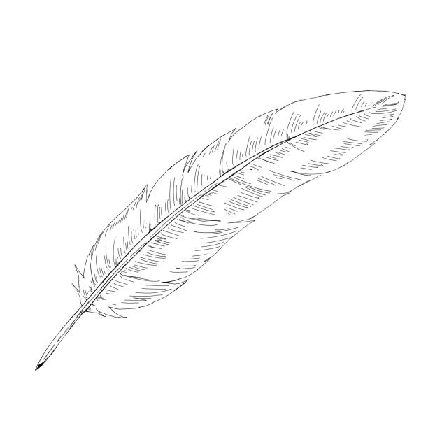 Feather