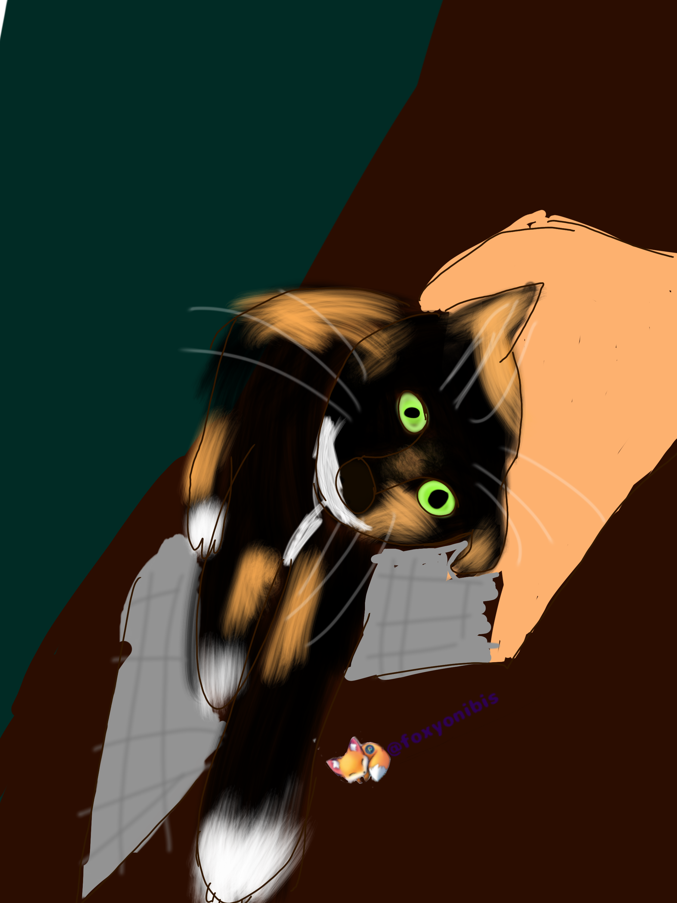 Pana banana my cat - ibisPaint
