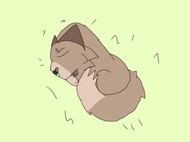 cat sleeping