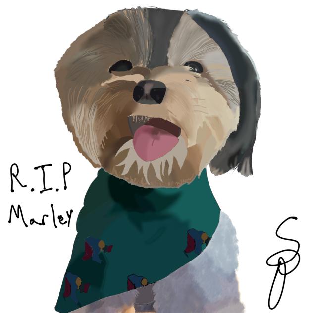 Marley