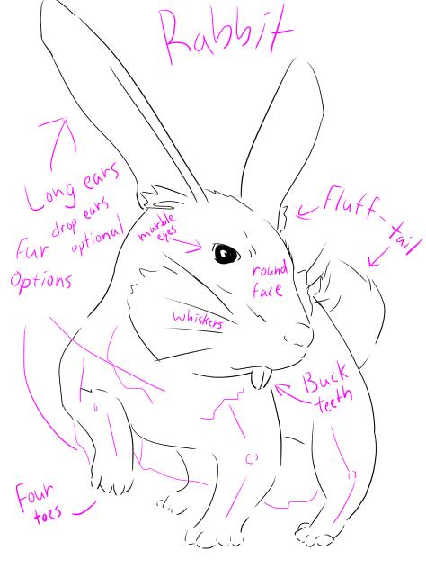 Rabbit HTD