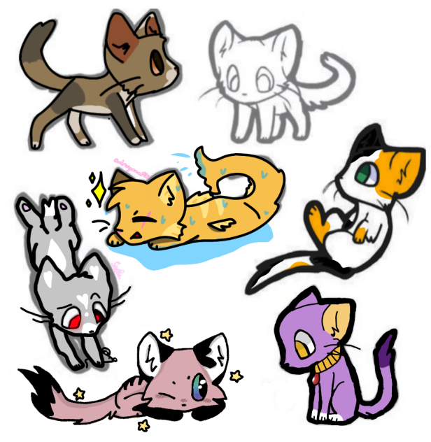 Cat Collab!