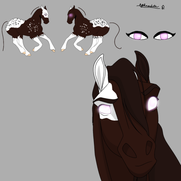 Aphrodite - Reference sheet