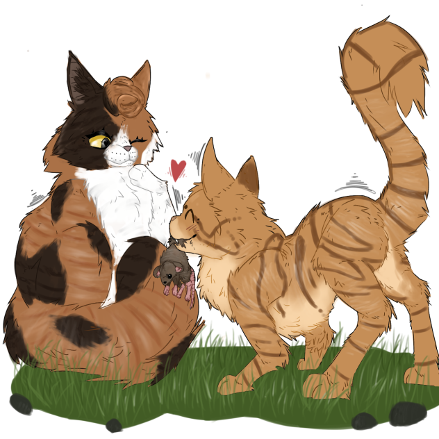 Brackenfur x sorreltail•.