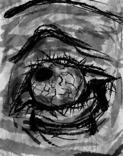 Eye