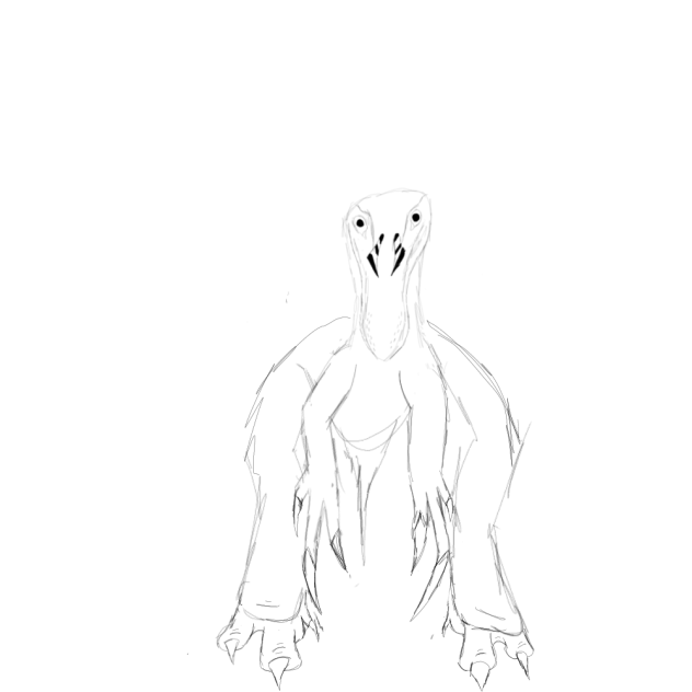 Javanothorax Marmai Front View