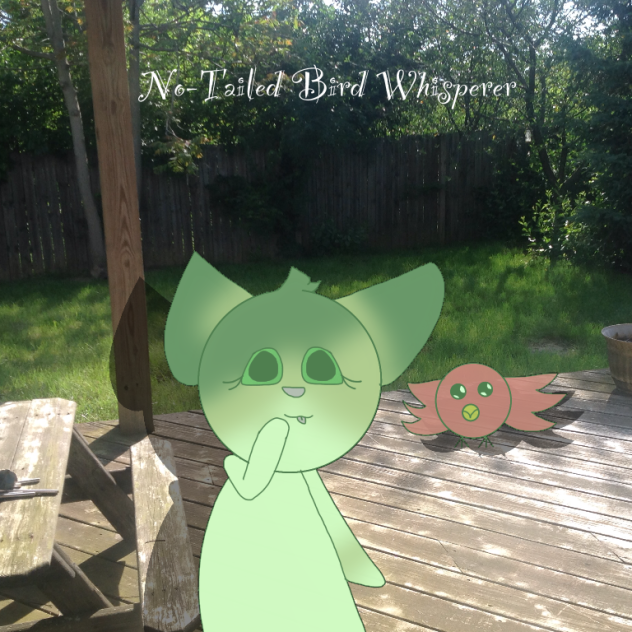 No-Tailed Bird Whisperer