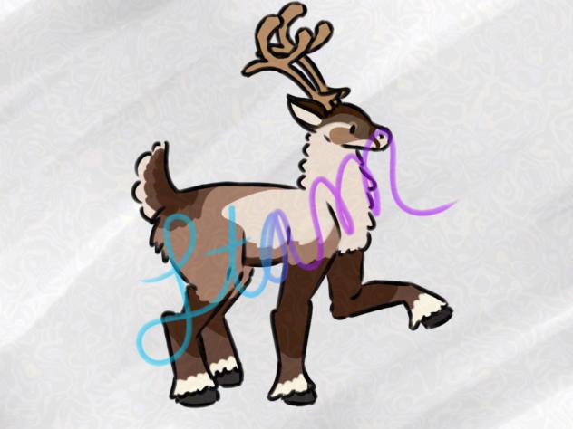 Christmas(Dasher)3