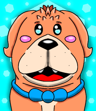Cutie puppy lasse