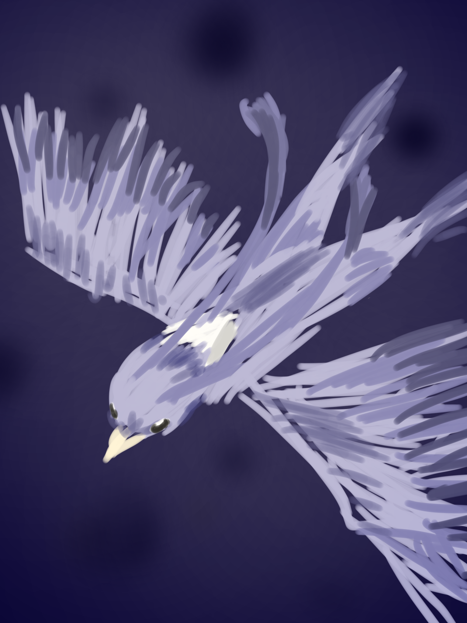 神鳥 - ibisPaint