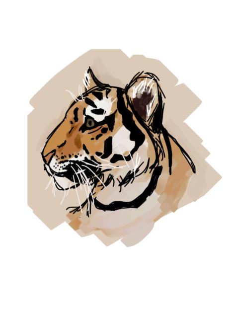 You’ll never tame the roar