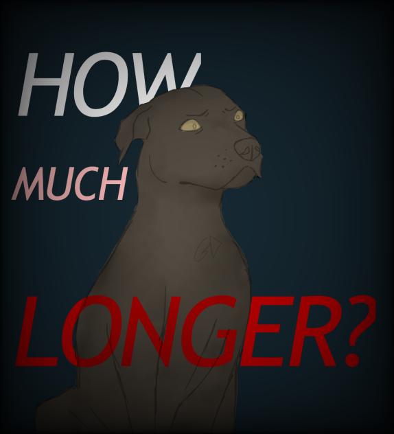 How much Longer