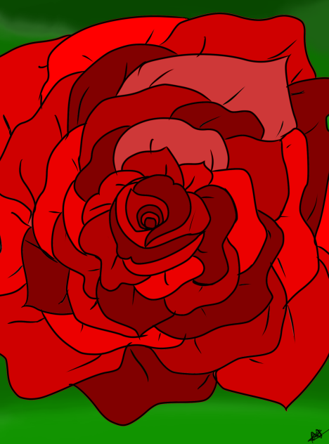 Rose-1