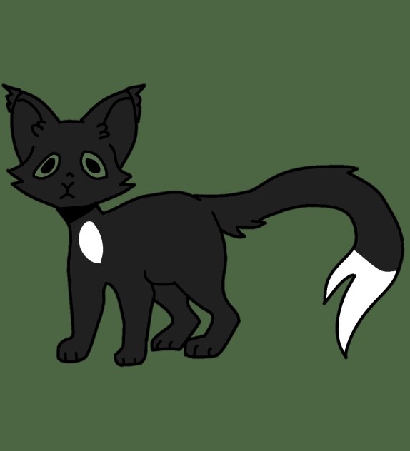 ravenpaw !!