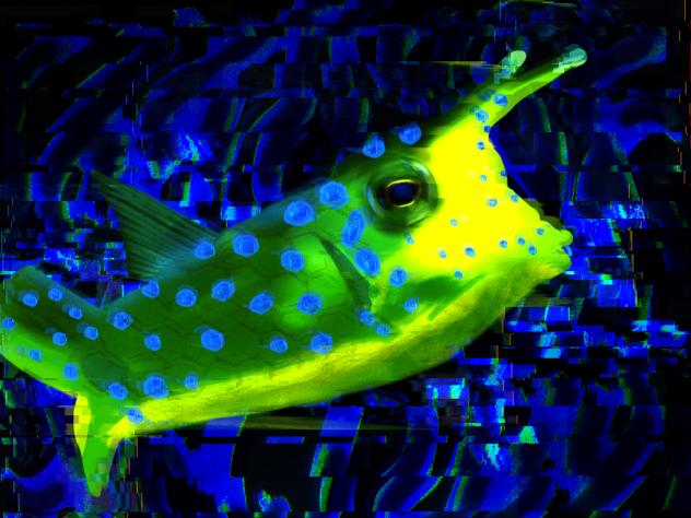 glitchy long horn cowfish