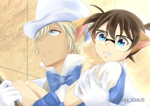 安コで“猫の恩返し”