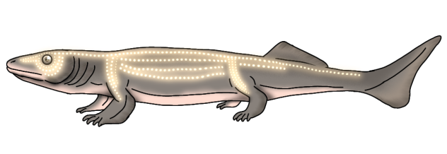 Common Rudyosai (2023) glow2