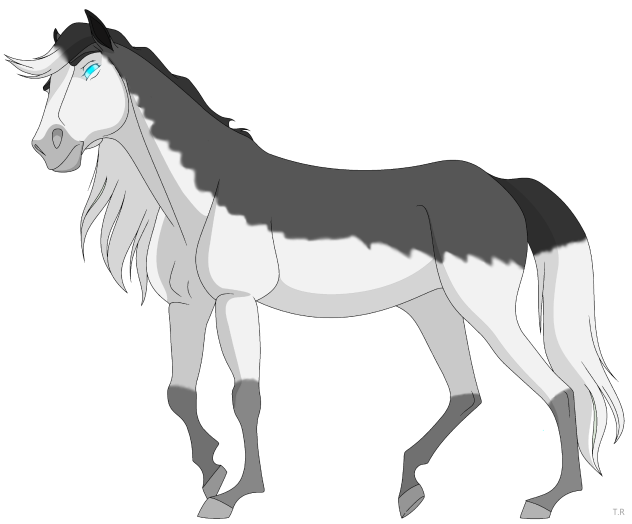 Valor - Full Body