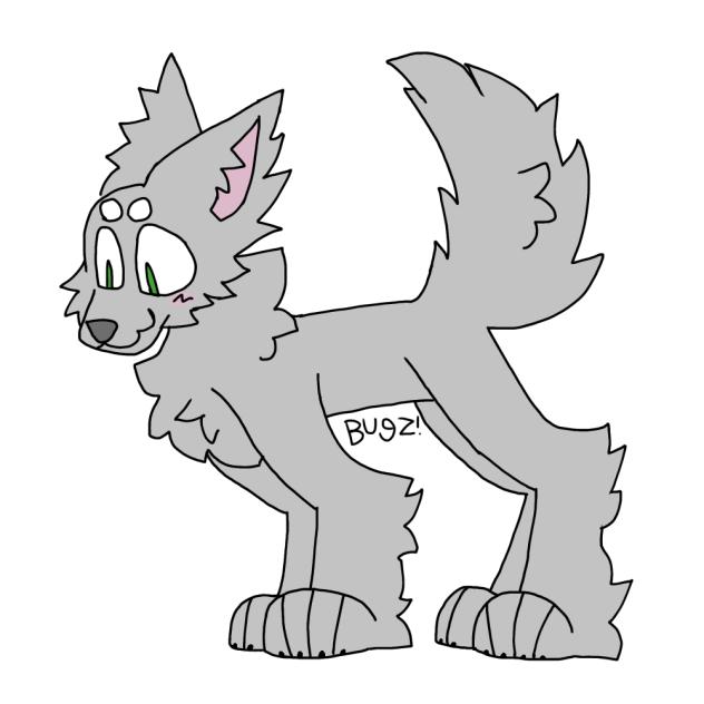Grey wolf 🐺