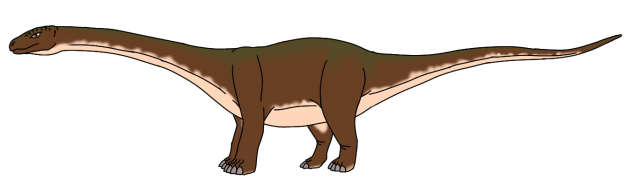 Tropical Diplodoterro