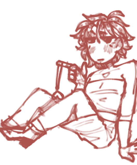 i won't finish this