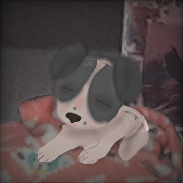 puppy baby