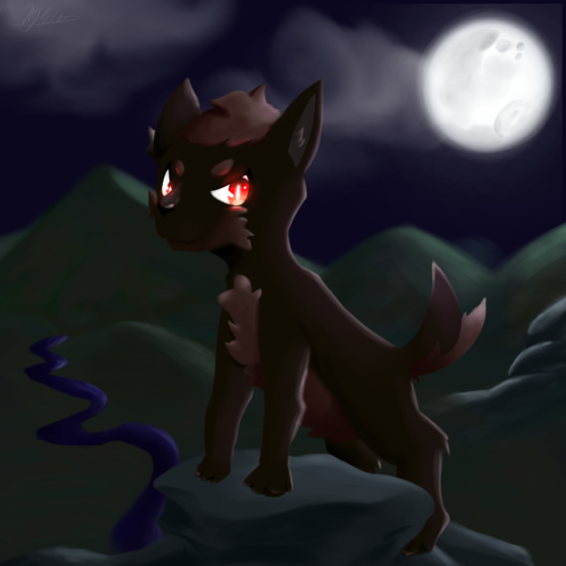 What Night Time Brings...