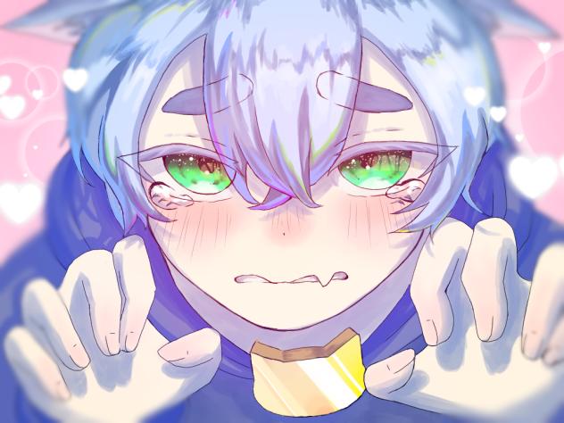 黒猫のノア