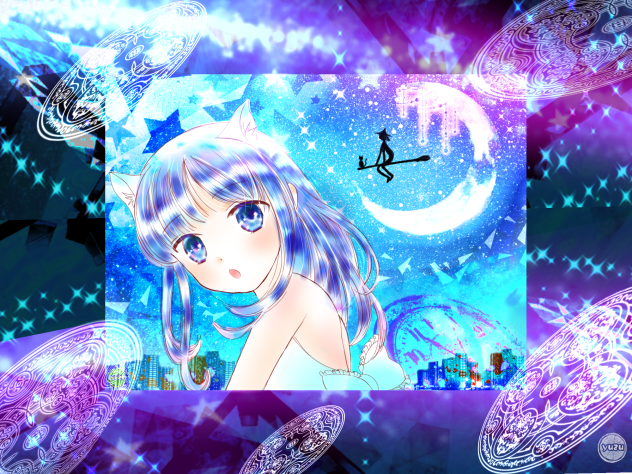 子猫の夜空