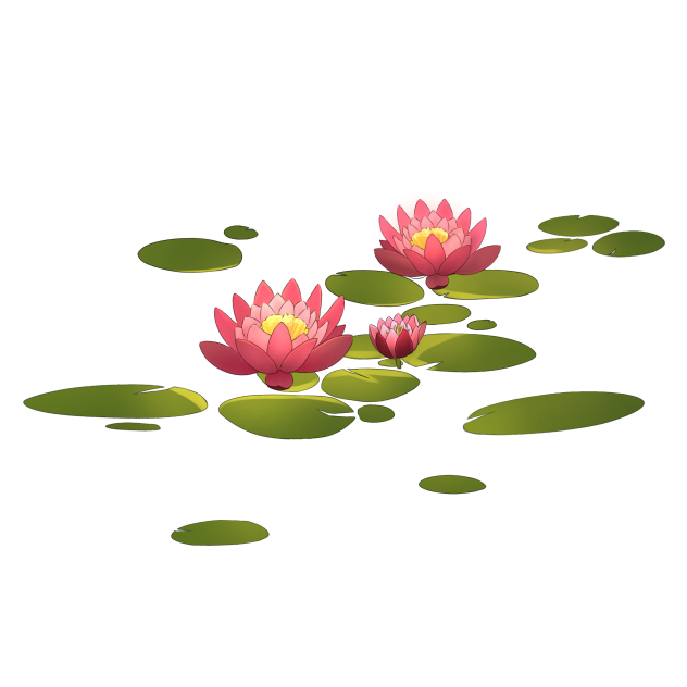water lily