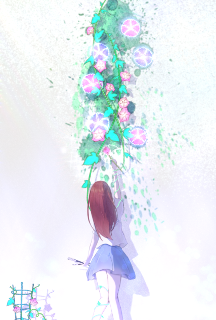 Morning glory