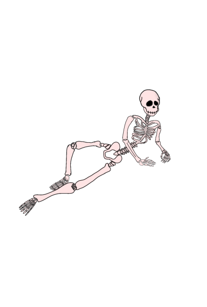 Skeleton