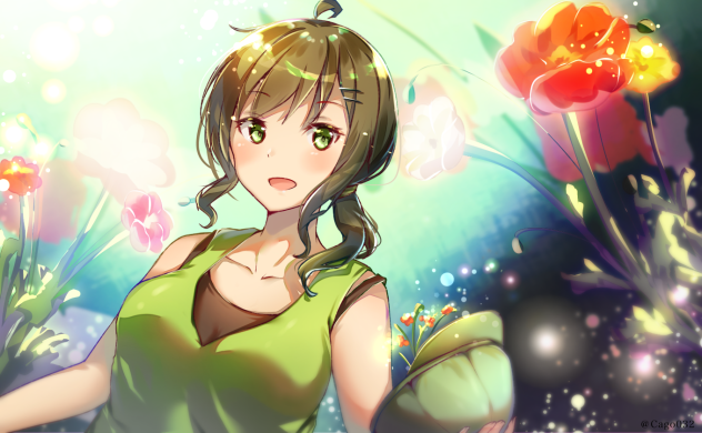 アイスランドポピー