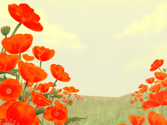 IBM2715 poppy flower a bright