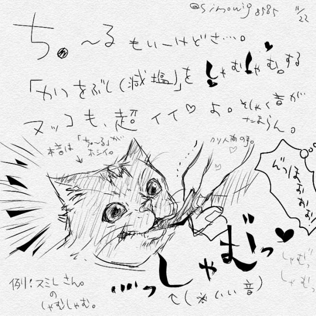 猫ちゃんに鰹節しゃむしゃむ💕